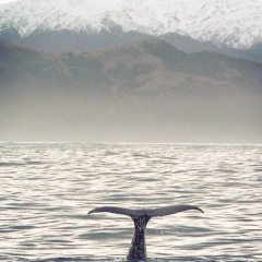 Maga Erikhanov, 03.10, Москва