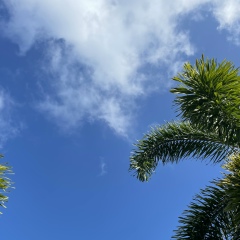 Александр Грицай, 30.07.1985, Санкт-Петербург