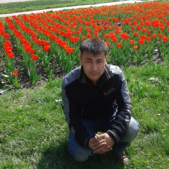 Beis Kazakh, 14.02.1984, Астана