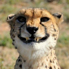 Андрей Анатольевич, 15.05.1988, Москва