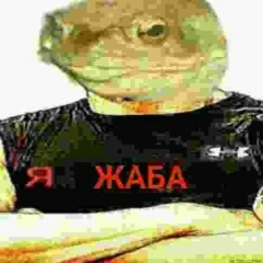 Сергей Сологуб, 21.08, Санкт-Петербург