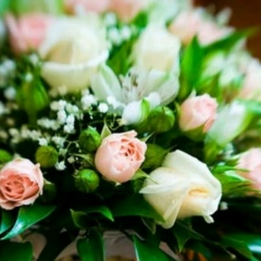 Зияда Миталова, Ош