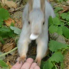 Александра Важенина, 02.03, Барнаул