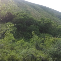 Gaziza Madenova, 20.02.1994, Актобе