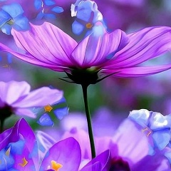 Мария Харькова, 15.07, Санкт-Петербург