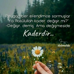 Шерзод Атаматов, 05.06, Doha