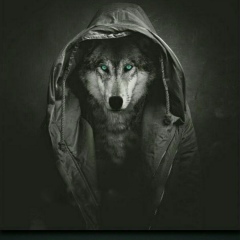 Андрей Акбаров, 10.01, Москва