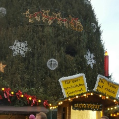 Надя Дзидза, 07.03