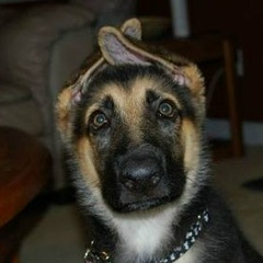 Аня Нарышкина, 18.03, Москва