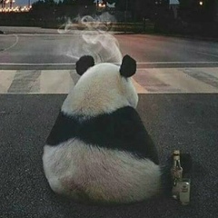 Дамир Мулдашев, Астана