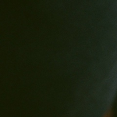 Гана Шестипалова