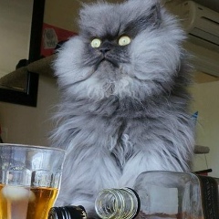 Никита Петрухин, 29.01.1984, Москва