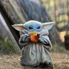 Ромчик Портянко, Ставрополь