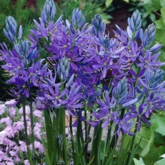 Юлия Юльева, 11.01, Санкт-Петербург