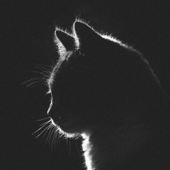 Евгений Солдатов, 19.02.1998, Астана