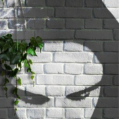 Кристиан Орлов, 15.07, Лиепая