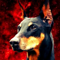 Руслан Рейдер, 01.11, Самара