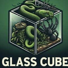 Glass Cube, Москва