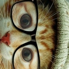 Юлия Копылова, Москва