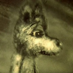 Роман Хлебин, 06.07.1983, Гомель