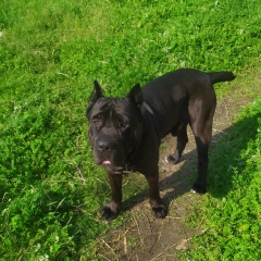 Константин Ершов, 08.02, Шатура