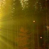 Алишер Холиков, 02.11.1990, Москва