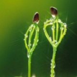 Дмитрий Дементьев, 04.12, Томск