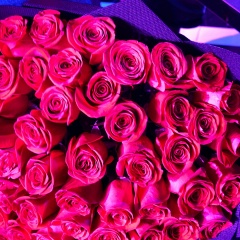 Айгерим Айгерим, Алматы