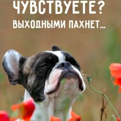 Иван Иваненко, Николаев