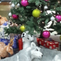 Ksu Okuneva, 18.01, Санкт-Петербург