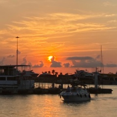 Светлана Пимонова, 17.01.1980, Москва