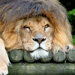 Вячеслав Ермолаев, 26.02