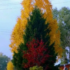 Dana Mashtiyeva, 05.04