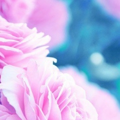 Александра Коваленко, 13.11, Санкт-Петербург