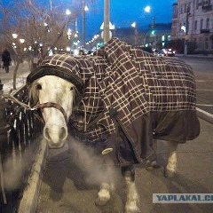 Игорь Москалёв, 31.01.1989