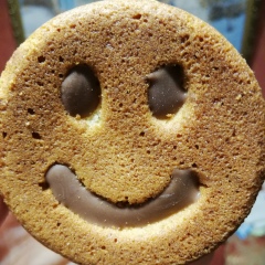 Владимир Новиков, 06.02.1988, Белгород