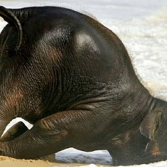 Сергей Чернецов, 12.03.1992, Кимовск