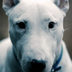 Мурат Шаймуханбет, 04.07, Алматы