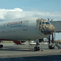 Михаил Таратута, 03.12, Павловский Посад