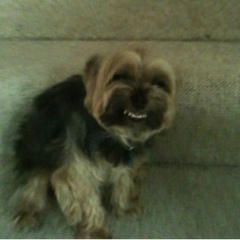 Дмитро Натлух, 15.09