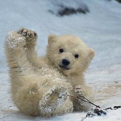 Dilshodjon Vakhabov, 25.08.1990