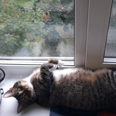 Виталий Уминский, Минск