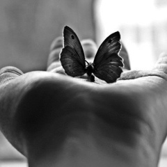 Лала Азизова, 21.03.1988, Донецк