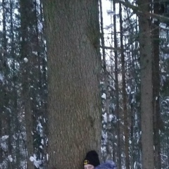 Алина Лис, 04.09