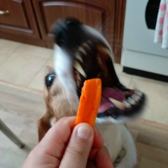 Елена Теменева, 09.10, Волгоград