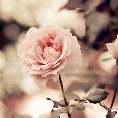 Дана Изтурганова, 20.09, Актау