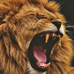 Шер-Улан Жакыпов, 22.06.2000, Бишкек