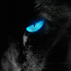 Петр Северный, 04.01.1995