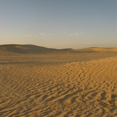 Андрей Антошин, 30.05.1982, Melbourne