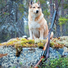 Andrew Bashkirov, 03.03.1998, Актау